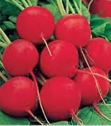 RAVANELLO TONDO GIGANTE BURRO GR.100